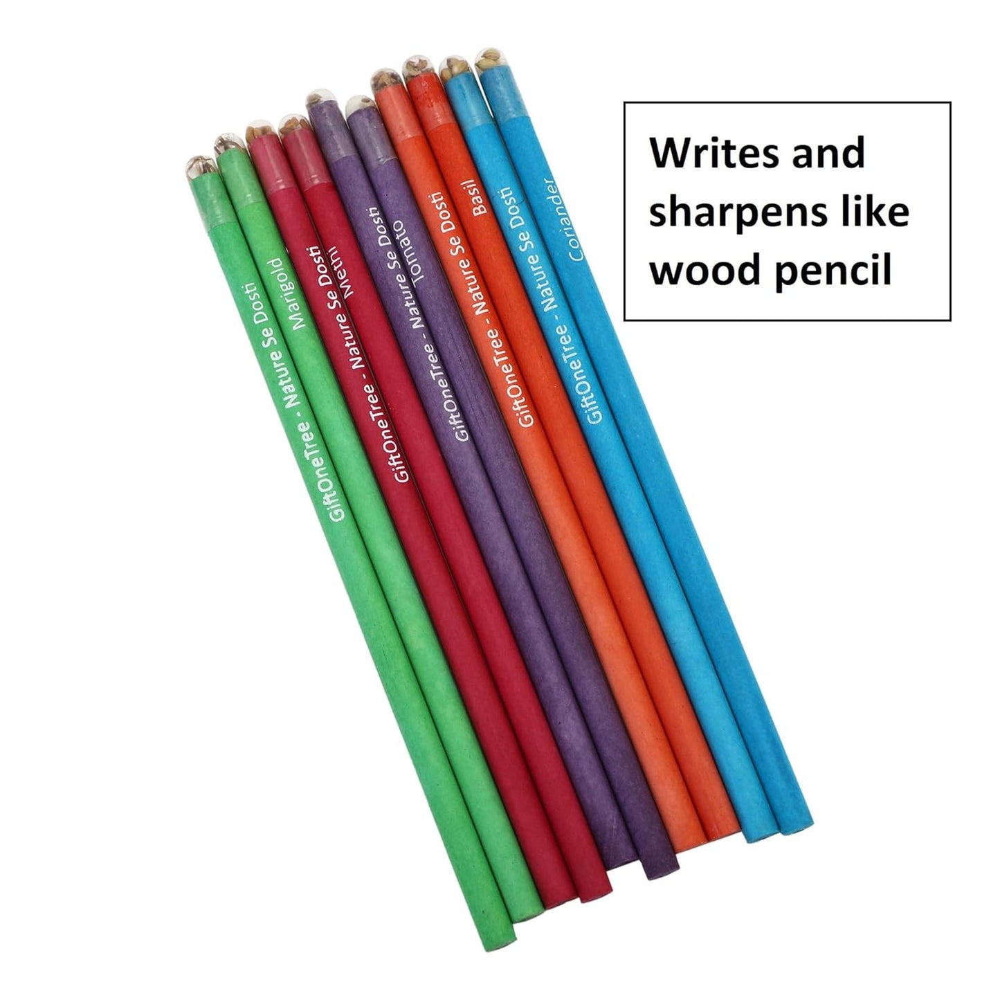 GIFTONETREE Eco Friendly Plantable Seed Pencils | Pencils in Box | Best for Distributing in School on Birthday | Return Gift (2 Pencils in Box, 15, count)