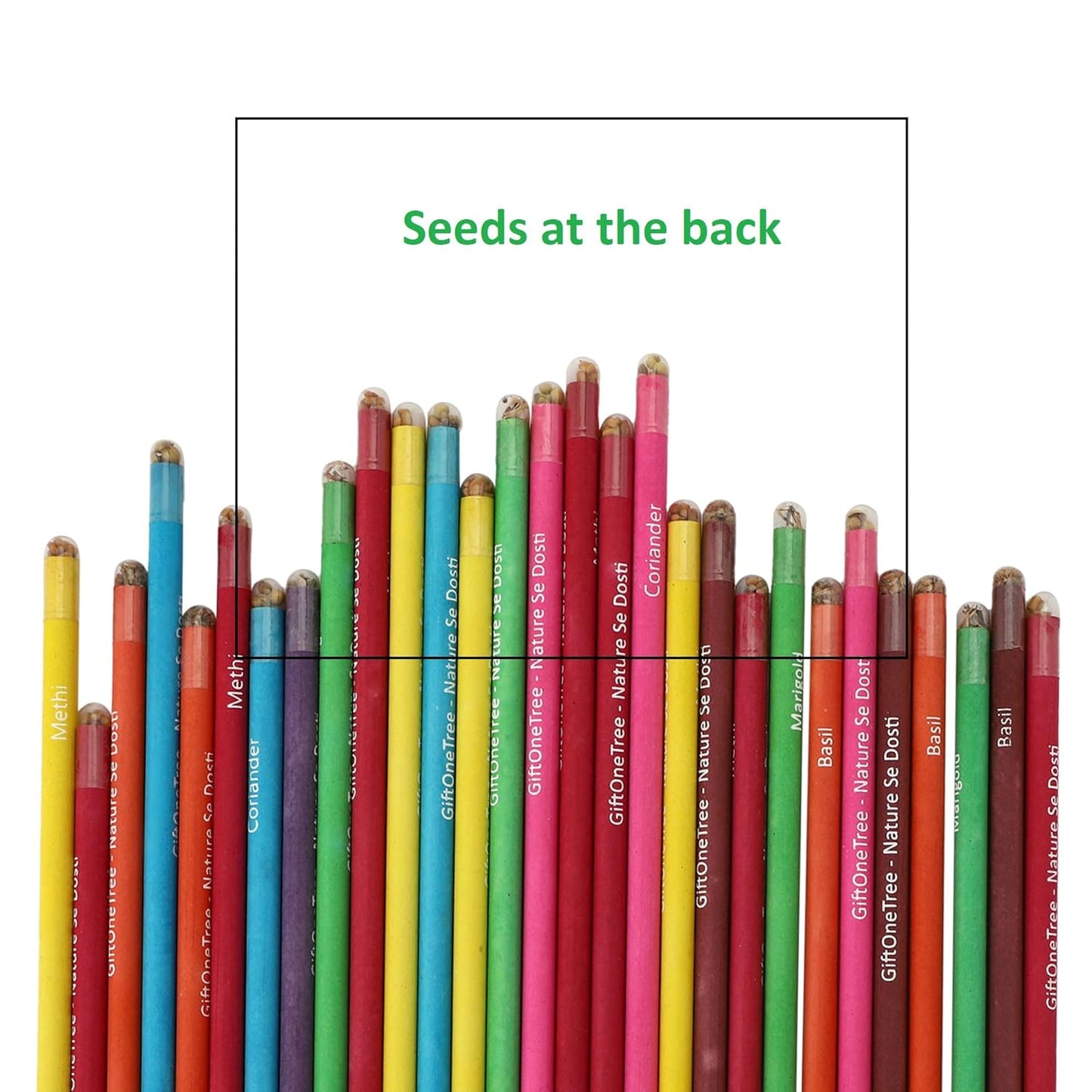 GIFTONETREE Eco Friendly Plantable Seed Pencils | Pencils in Box | Best for Distributing in School on Birthday | Return Gift (2 Pencils in Box, 15, count)