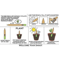 Phutri Crafts Eco Friendly Plantable Seed Black Pencils(50 Units)| 2B Extra Dark Pencil | Jumbo Super Saver Box Of 50 Pencils