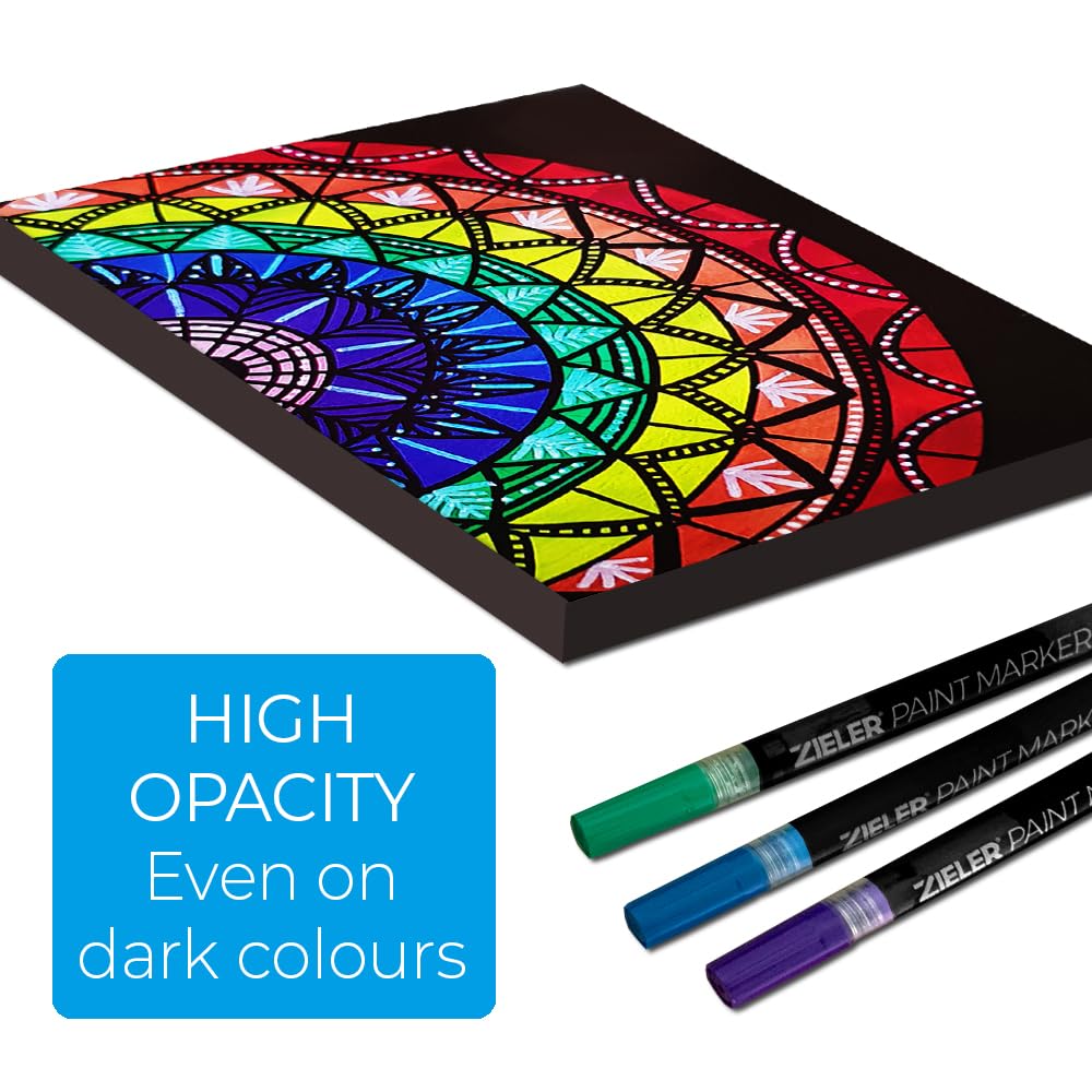 Zieler 12 Acrylic Paint Pens for Rock Painting, Ceramic, Porcelain, Glass, Stone, Pebble, Fabric, Wood & DIY Mug Design Permanent Water-based Marker Pens (Vibrant Colours, Medium Tip - 2.5mm)