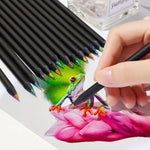 VIHM 12 Colors Rainbow Pencils for Kids Adults, Rainbow Colored Pencil Art Supplies for Girls Boys, Black Wood Multi Colored Pencils for Coloring Drawing Sketching, Pre-sharpened with Free Sharpener