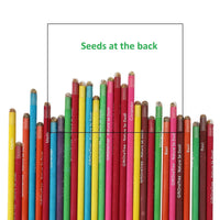 GIFTONETREE Eco Friendly Plantable Seed Pencils | Pencils in Box | Best for Distributing in School on Birthday | Return Gift (2 Pencils in Box, 15, count)