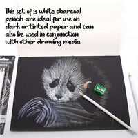 KIRA 3Pcs White Charcoal Pencils Graphite Drawing Painting Sketch Pencils Pens Artist Shading Painting Pencils Art Tools for Professionals Kids Beginners Artists Sketching Coloring