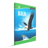 Classmate Long Book - Single Line, 172 Pages, 297 mm x 210 mm - Pack Of 3