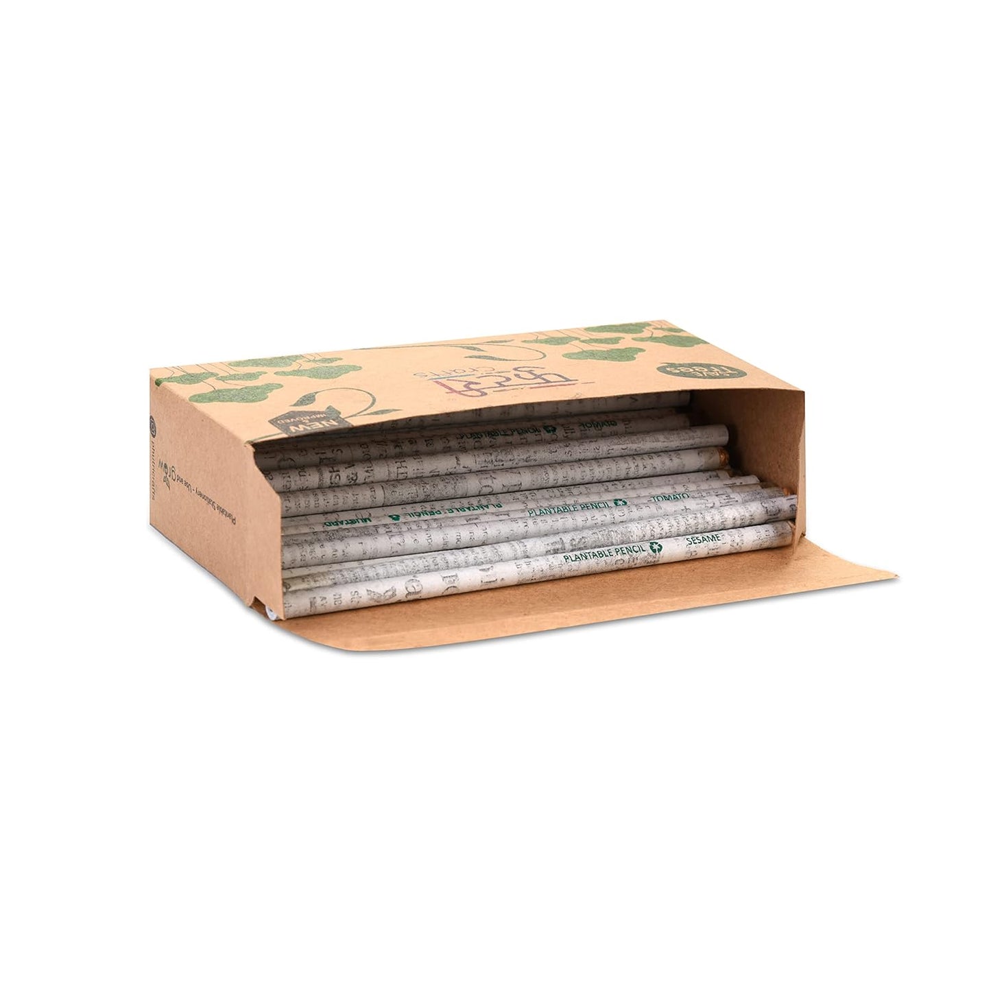 Phutri Crafts Eco Friendly Plantable Seed Black Pencils(50 Units)| 2B Extra Dark Pencil | Jumbo Super Saver Box Of 50 Pencils